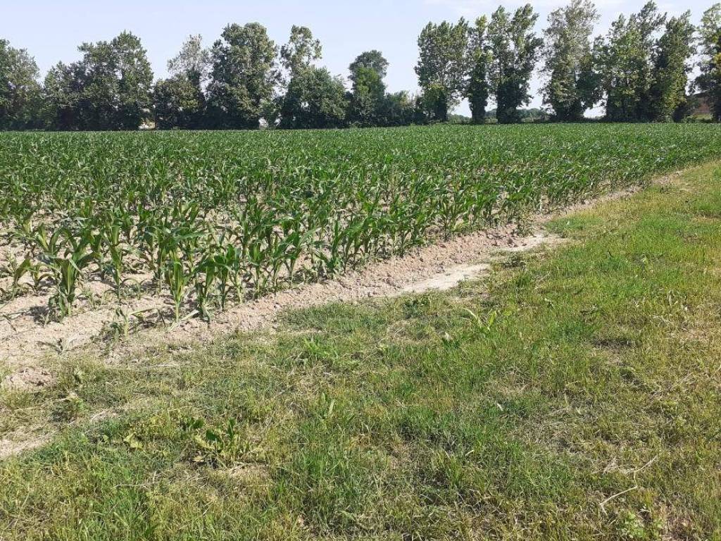 Terreno a Borgo virgilio - Foto 3