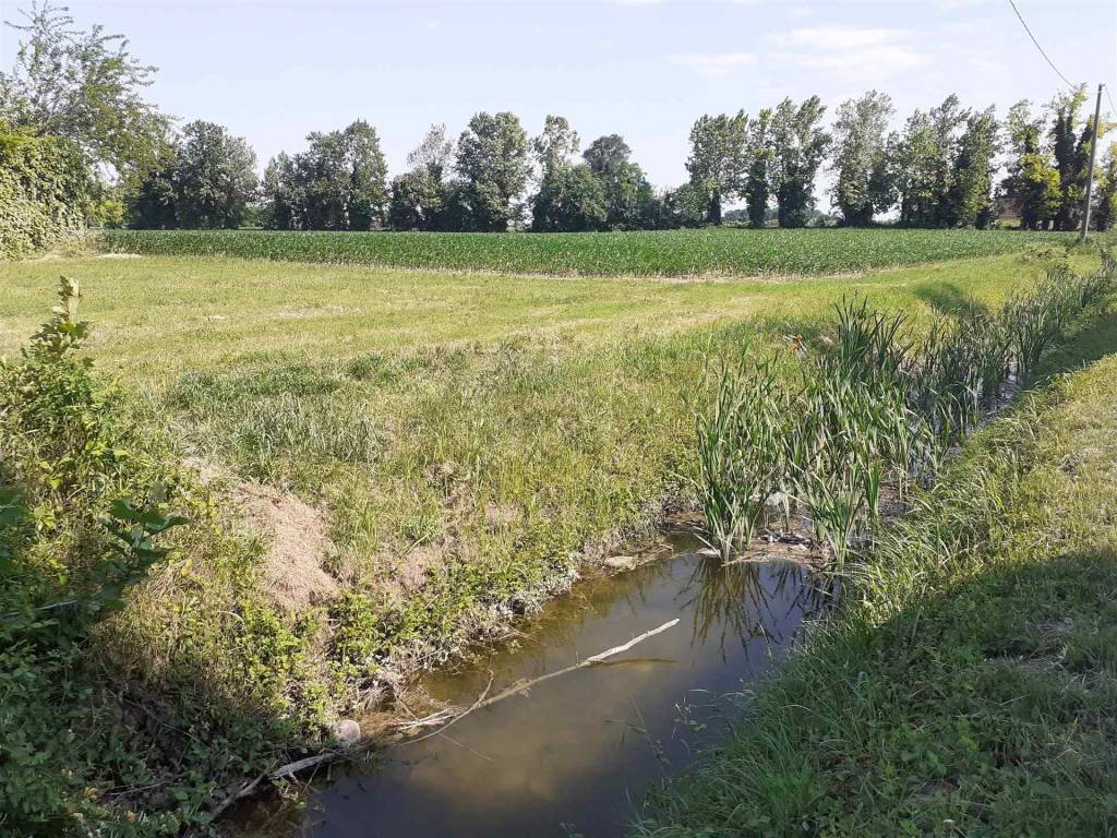 Terreno a Borgo virgilio - Foto 4