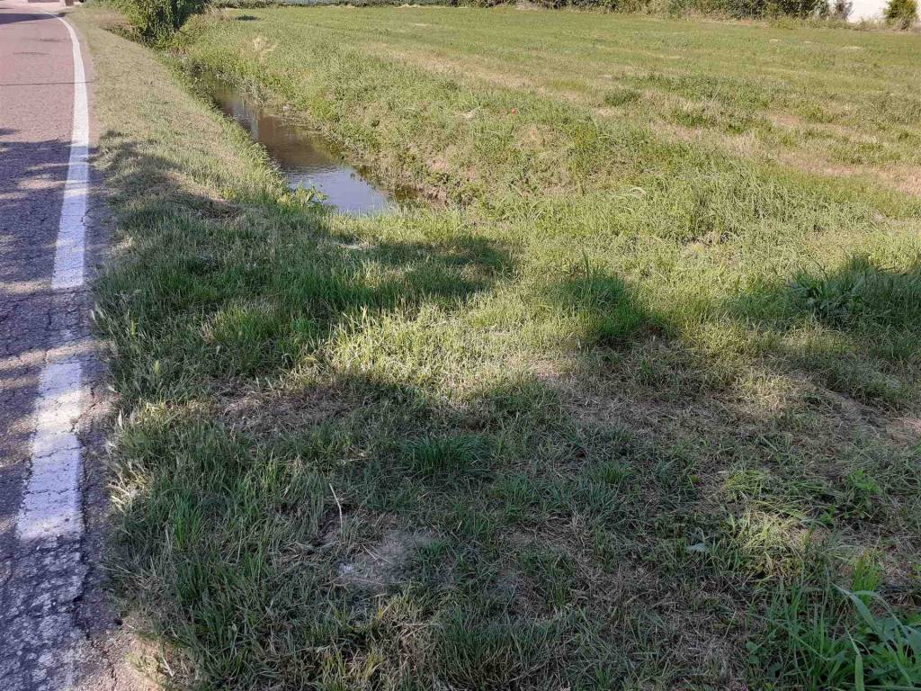 Terreno a Borgo virgilio - Foto 5