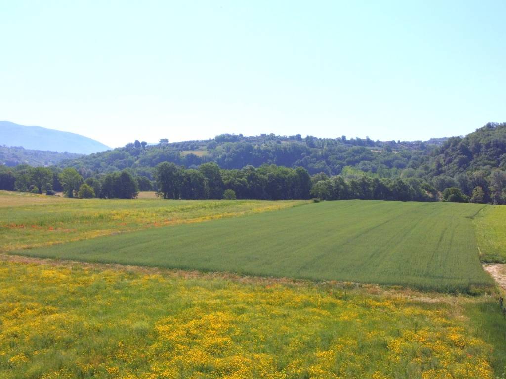 Terreno a Torri in sabina in SP52c - Foto 3