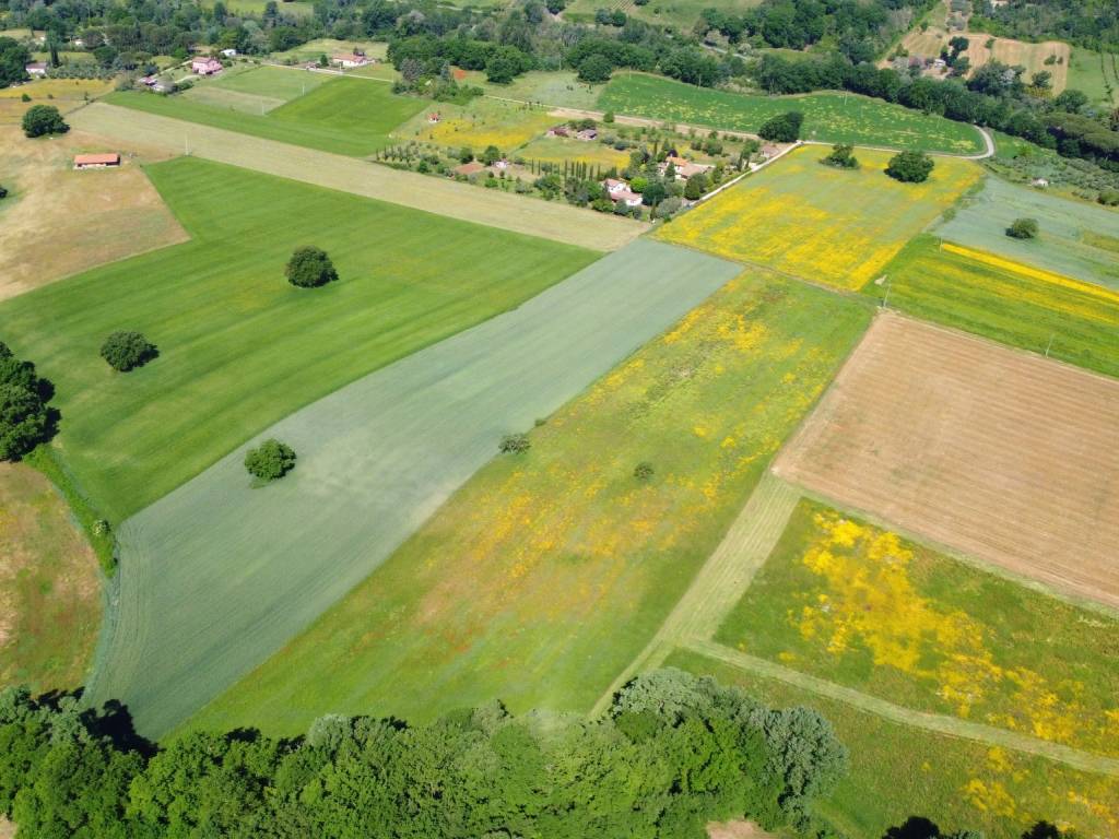 Terreno a Torri in sabina in SP52c - Foto 4