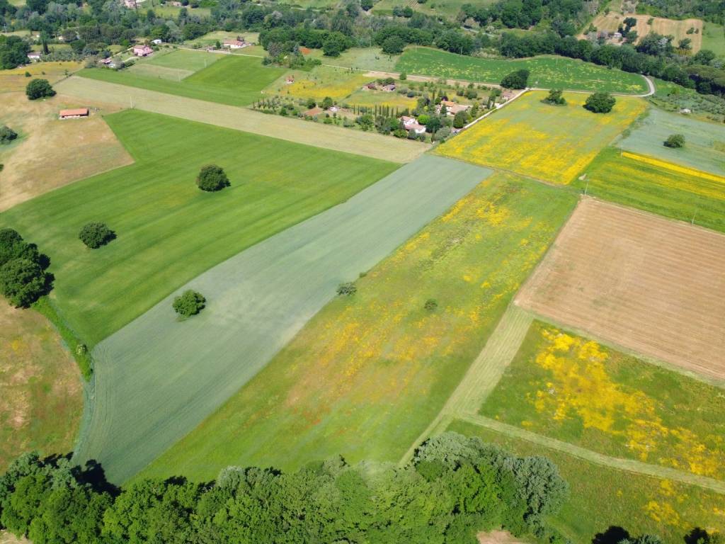 Terreno a Torri in sabina in SP52c - Foto 5