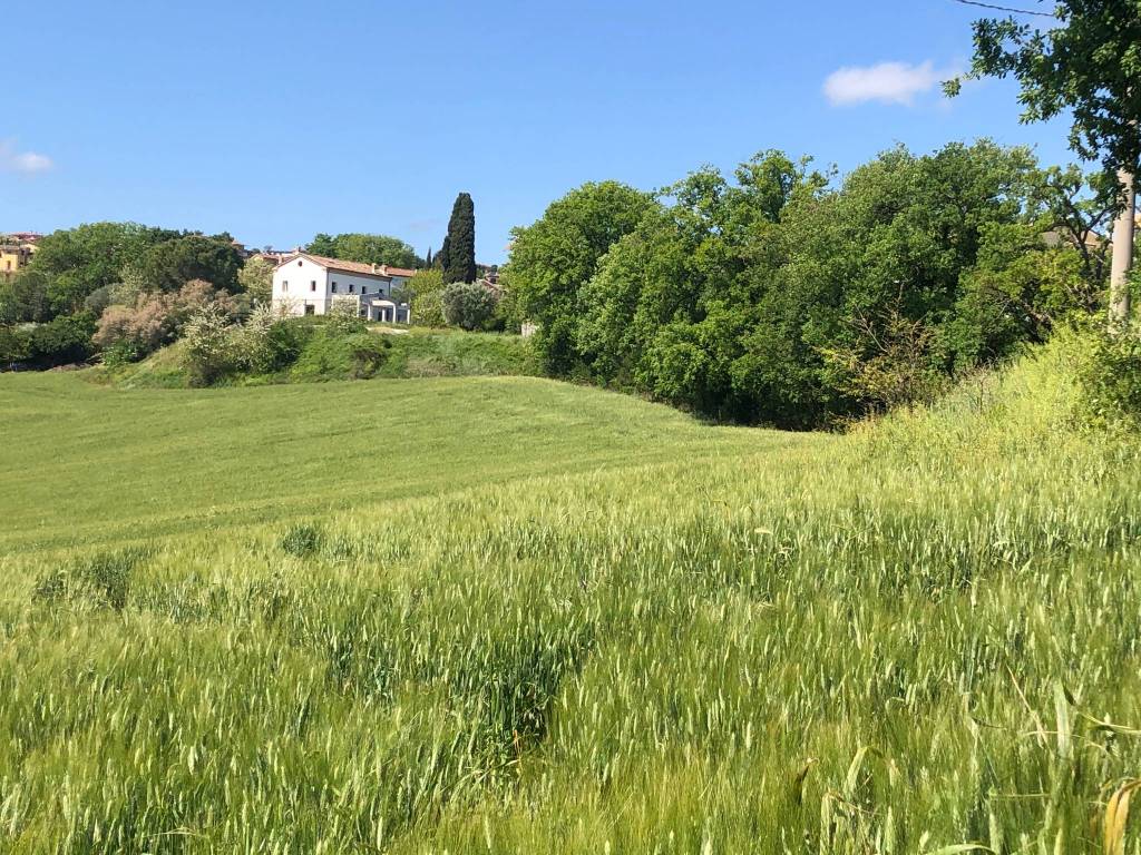 Villa a Osimo - Foto 2