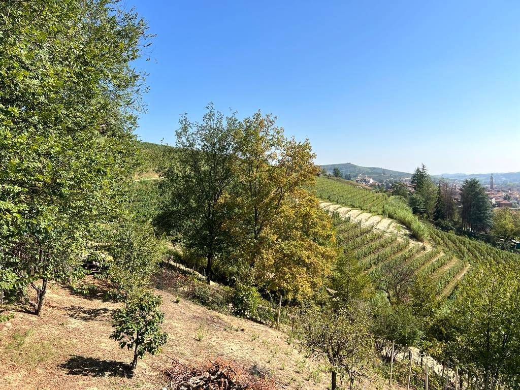 Rustico / casale a Canale in Via Aloi - Foto 4