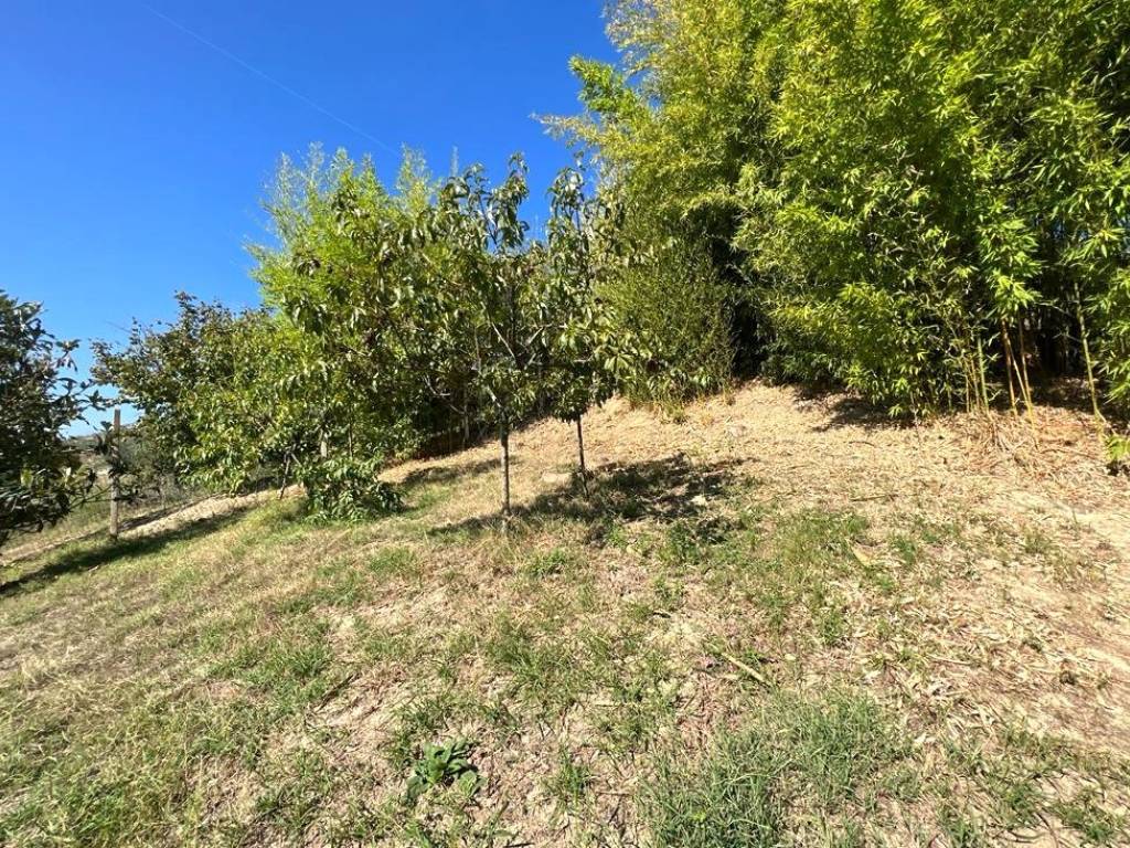 Rustico / casale a Canale in Via Aloi - Foto 5