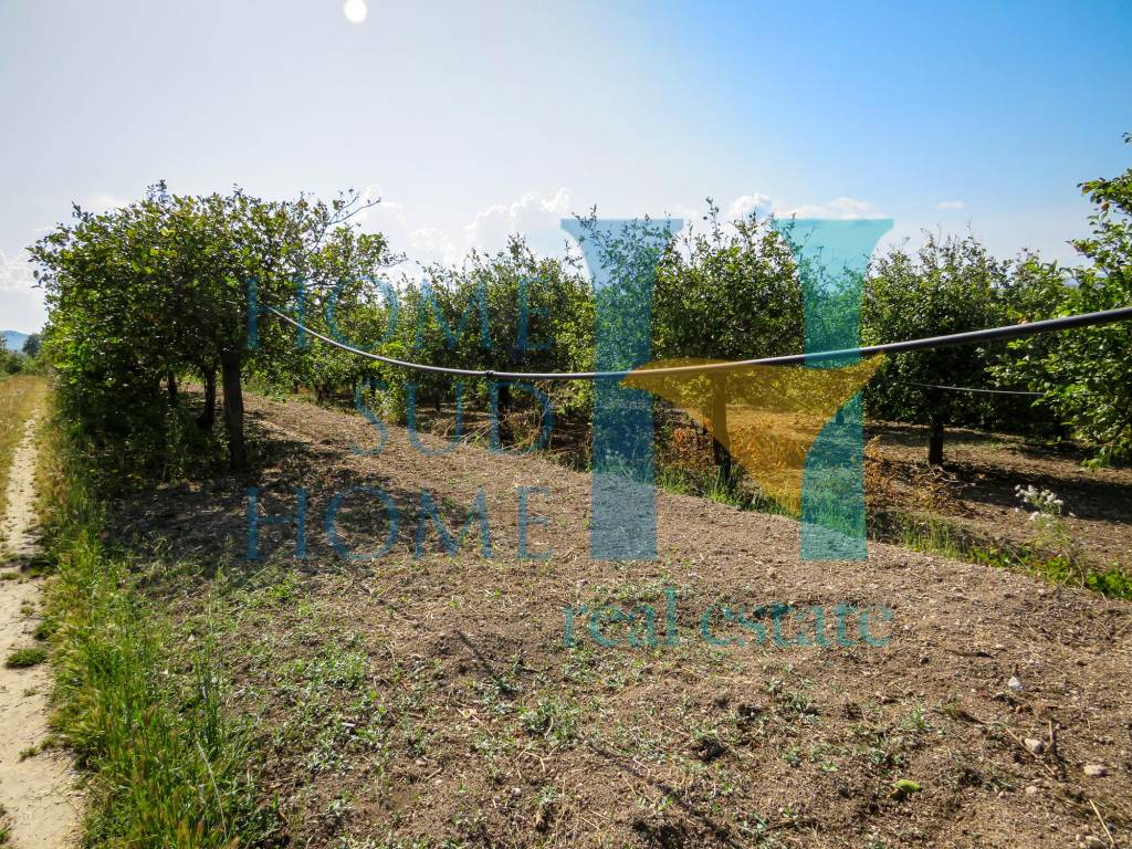 Terreno a Noto in Via Tommaso Fazello, 228 - Foto 2