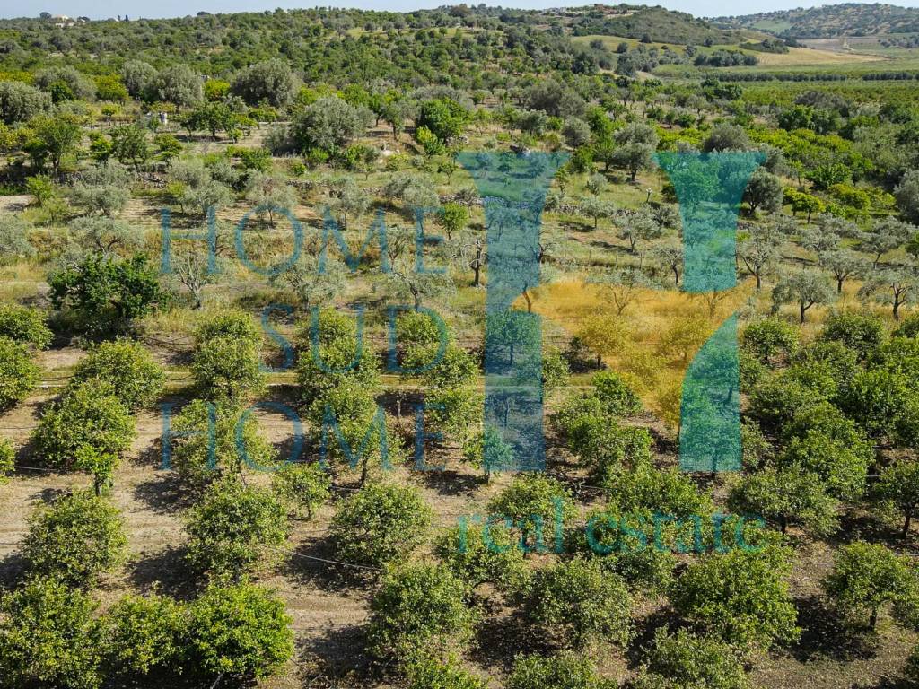 Terreno a Noto in Via Tommaso Fazello, 228 - Foto 3