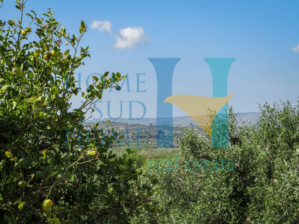 Terreno a Noto in Via Tommaso Fazello, 228 - Foto 4