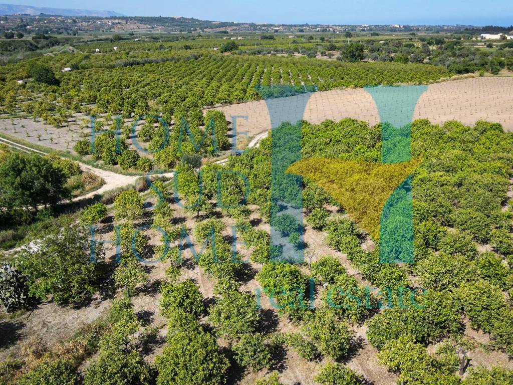 Terreno a Noto in Via Tommaso Fazello, 228 - Foto 5