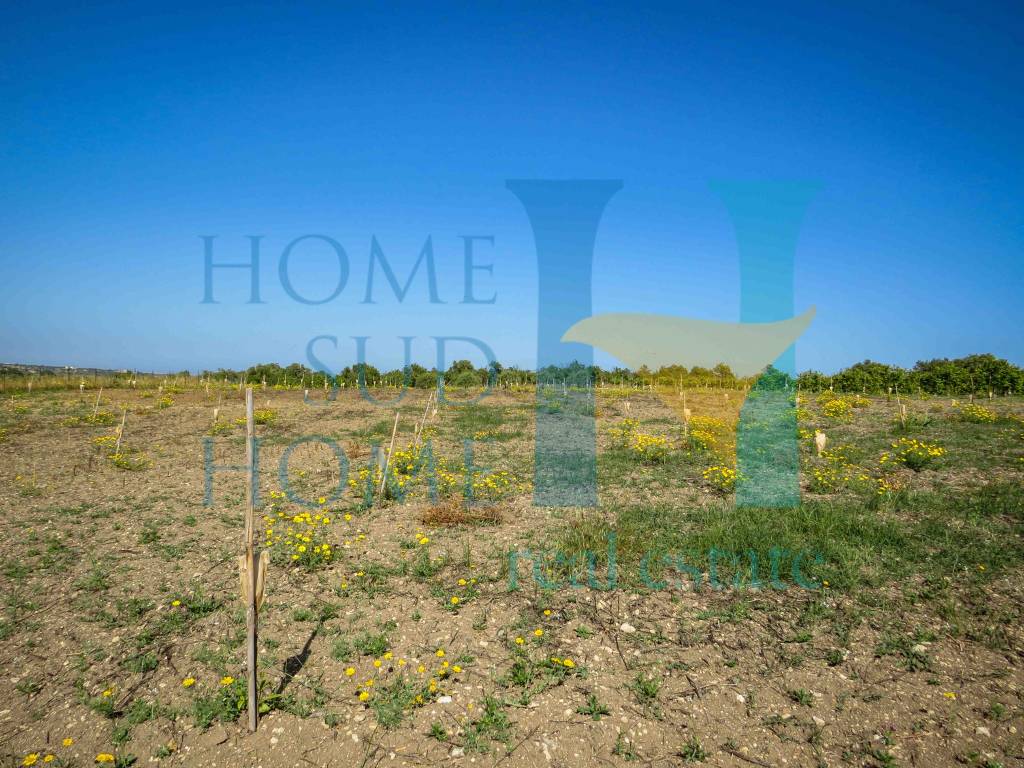 Terreno a Noto in Via Tommaso Fazello, 228 - Foto 2