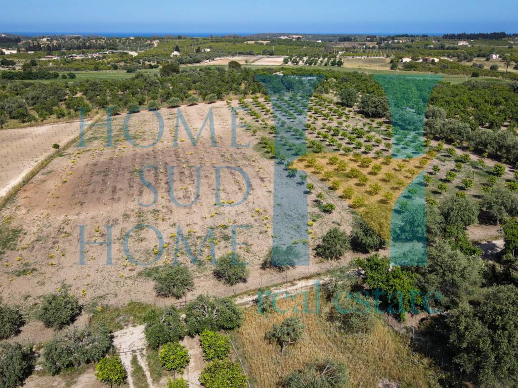 Terreno a Noto in Via Tommaso Fazello, 228 - Foto 3