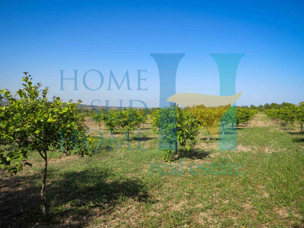 Terreno a Noto in Via Tommaso Fazello, 228 - Foto 4