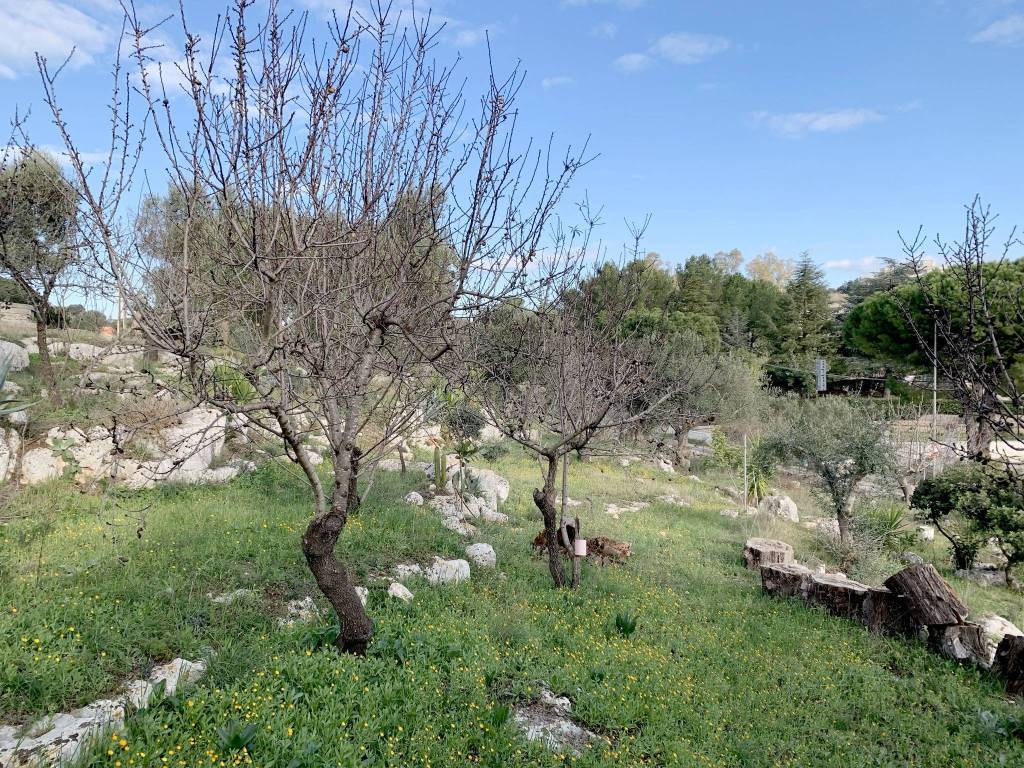 Villa a Ostuni in SP14 - Foto 4