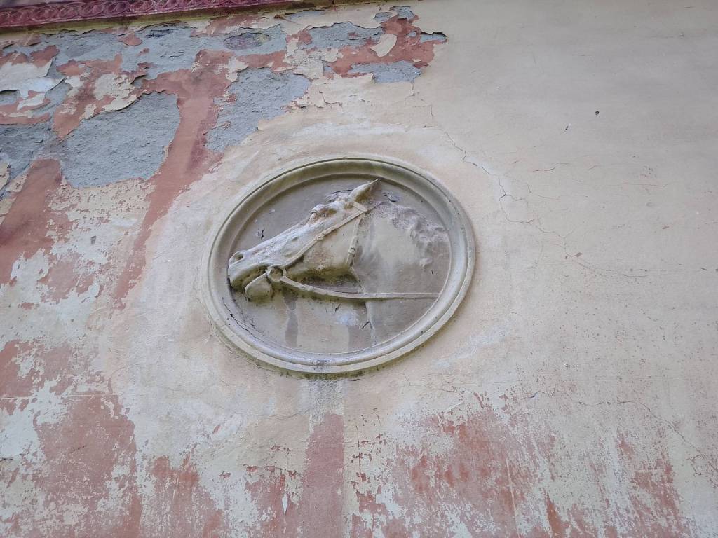 Rustico / casale a Castagneto carducci in castagneto carducci - Foto 2