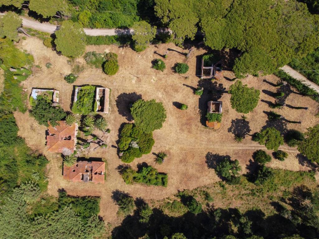 Rustico / casale a Castagneto carducci in castagneto carducci - Foto 4