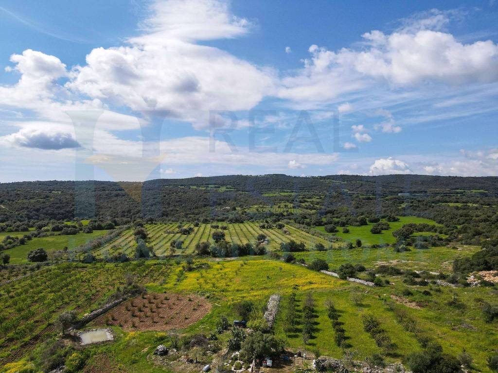 Terreno a Noto in Via Tommaso Fazello, 228 - Foto 4