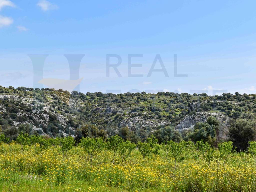 Terreno a Noto in Via Tommaso Fazello, 228 - Foto 5