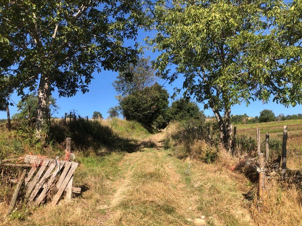 Terreno a Santa vittoria in matenano in Contrada San Giovanni - Foto 3