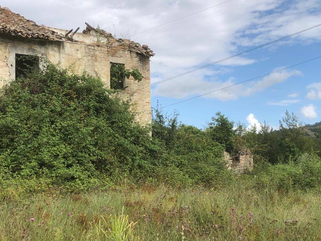 Terreno a Rotella in Valdaso - Foto 2