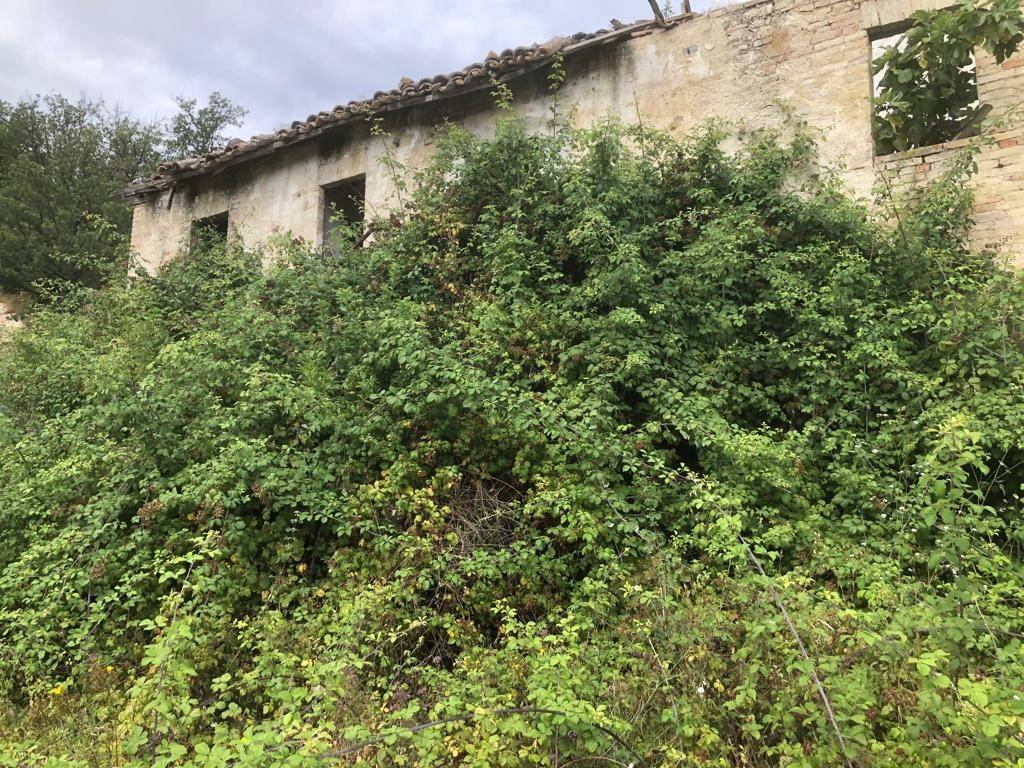 Terreno a Rotella in Valdaso - Foto 4