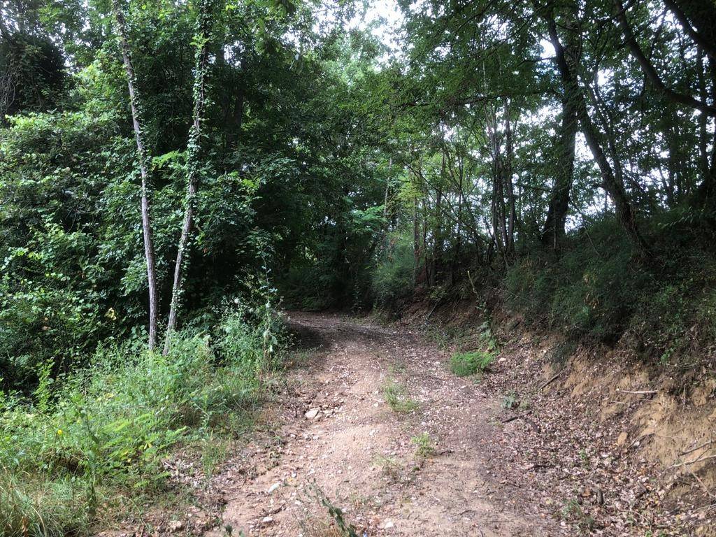 Terreno a Rotella in Valdaso - Foto 5