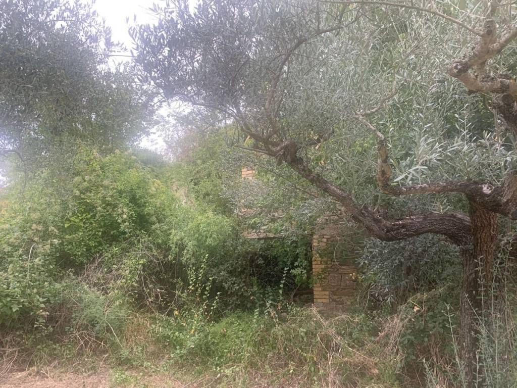 Rustico / casale a Bevagna in via bornano - Foto 2