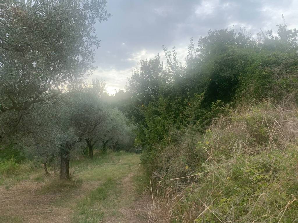 Rustico / casale a Bevagna in via bornano - Foto 4