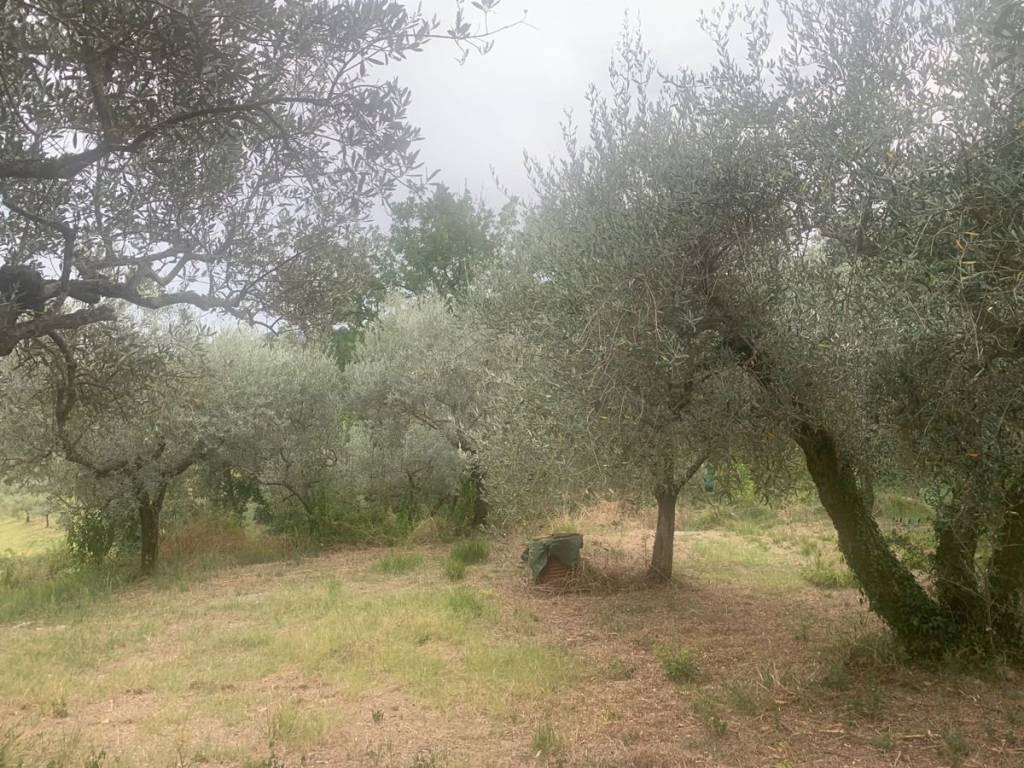 Rustico / casale a Bevagna in via bornano - Foto 5