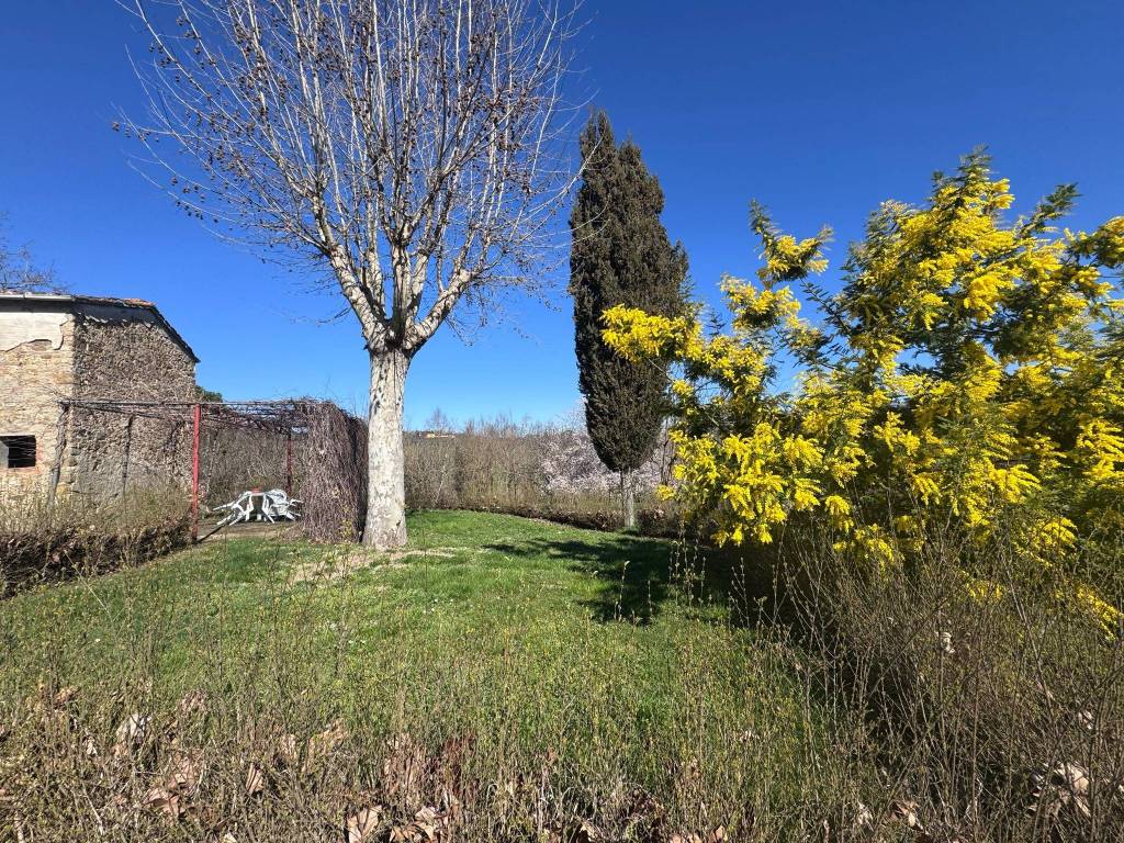 Rustico / casale a Cavriglia - Foto 3