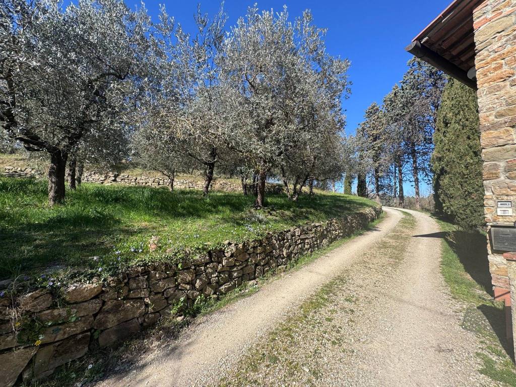 Rustico / casale a Cavriglia - Foto 4