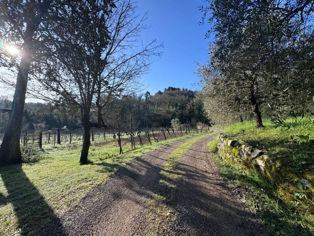 Rustico / casale a Cavriglia - Foto 5