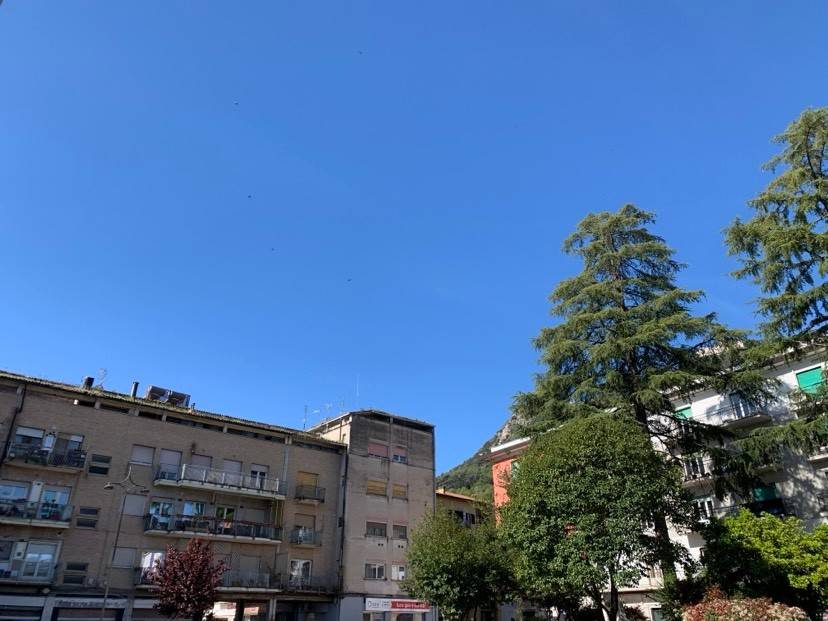 Appartamento a Cassino in Piazza Antonio Labriola - Foto 2