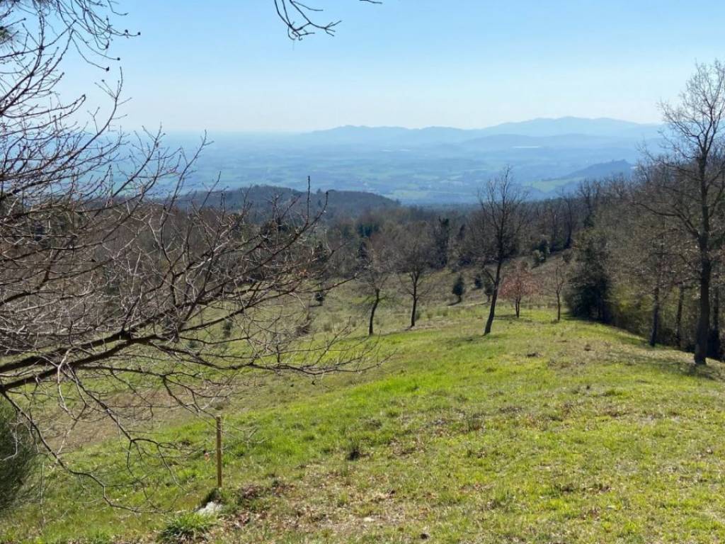 Rustico / casale a Roccastrada - Foto 4