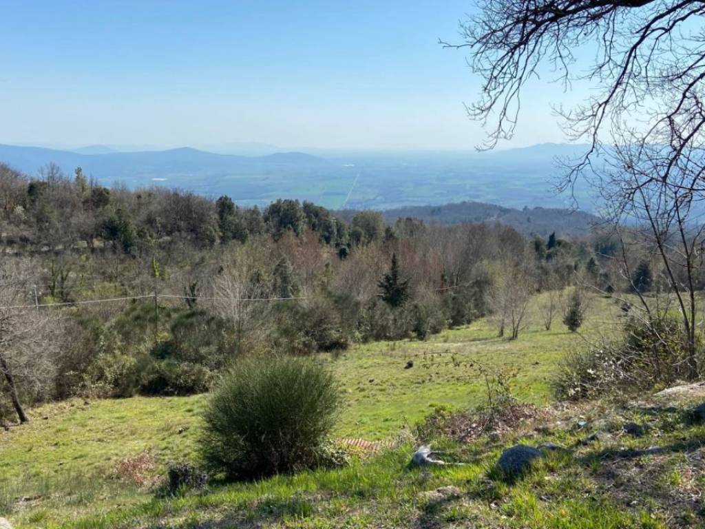 Rustico / casale a Roccastrada - Foto 5