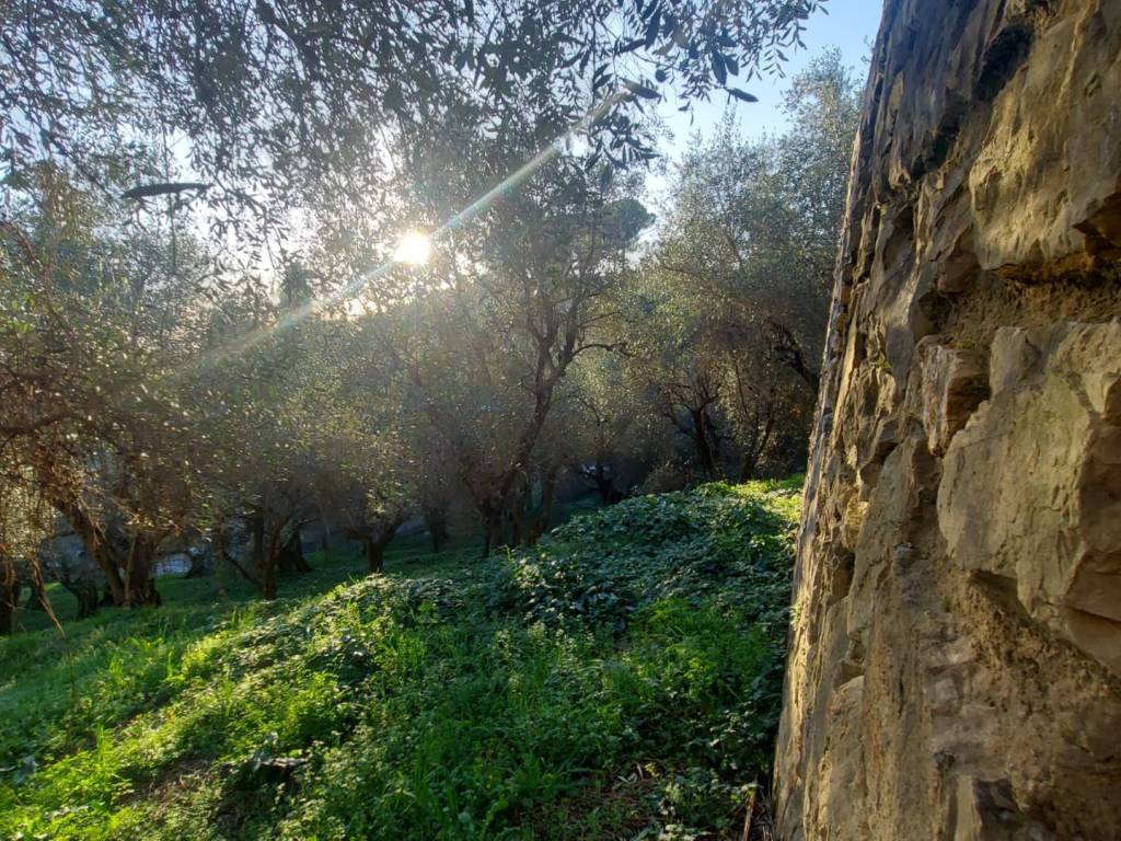 Villa a Massarosa - Foto 2