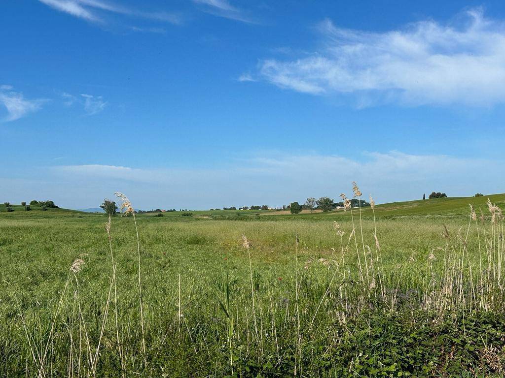 Terreno a Orbetello - Foto 3
