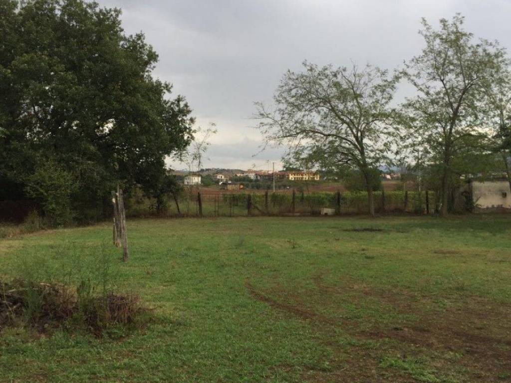 Rustico / casale a Campagnatico - Foto 5