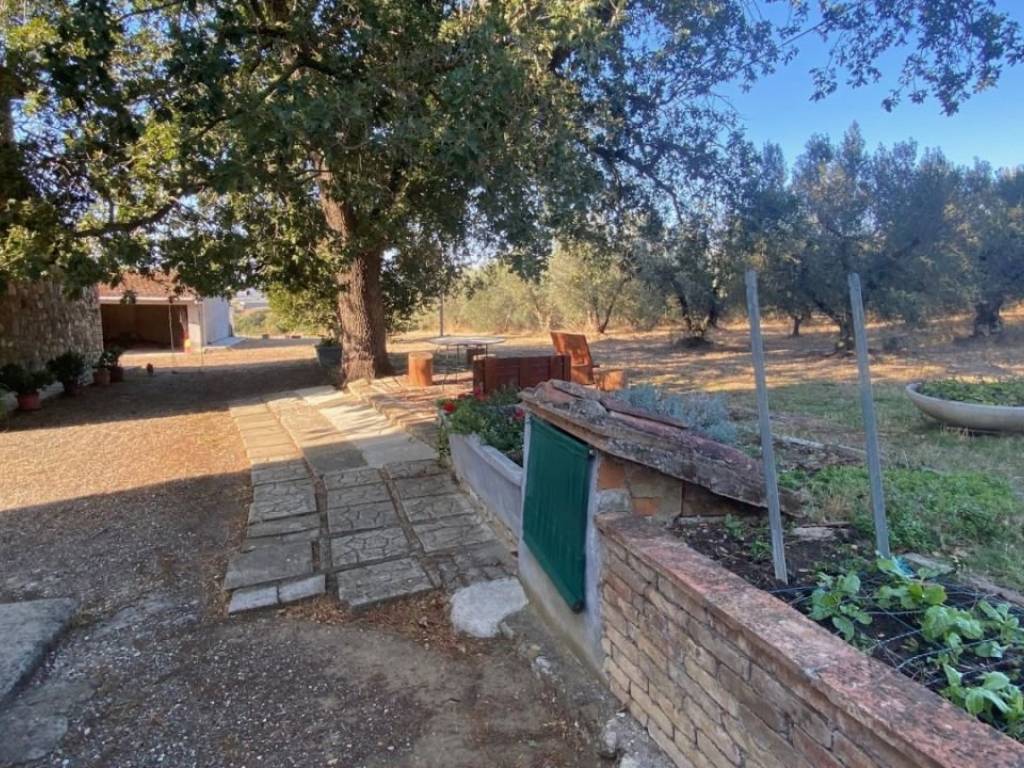 Immobile a Campagnatico - Foto 4