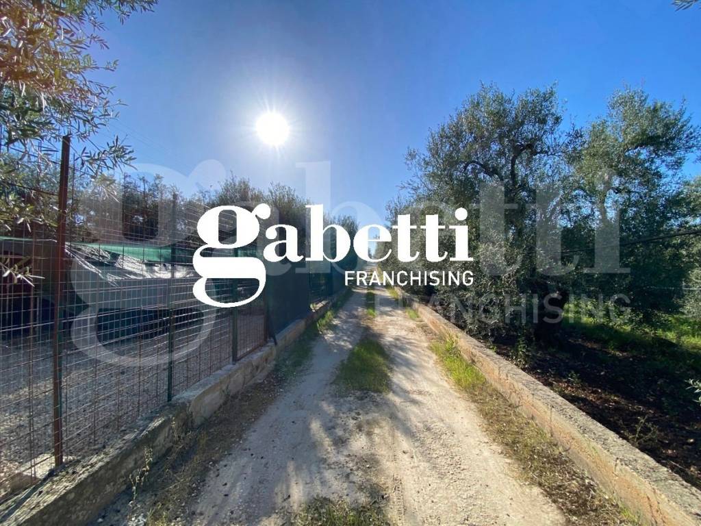 Villa a Trani in strada vicinale Vecchia Trani-Corato - Foto 2