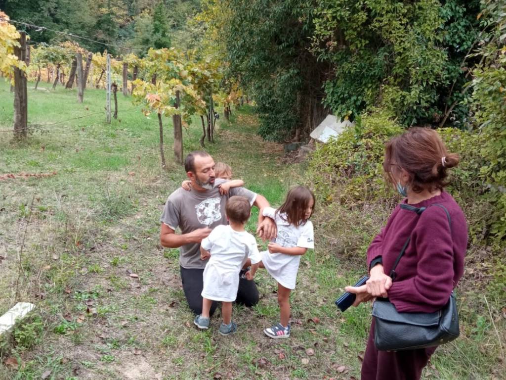immagine di copertina