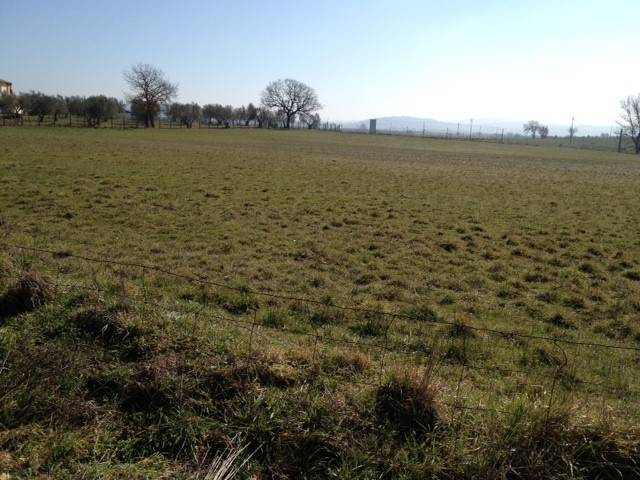 Terreno a Vetralla in Località Dogane - Foto 5