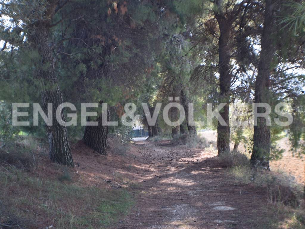 Rustico / casale a Recanati in Contrada Santa Croce - Foto 2