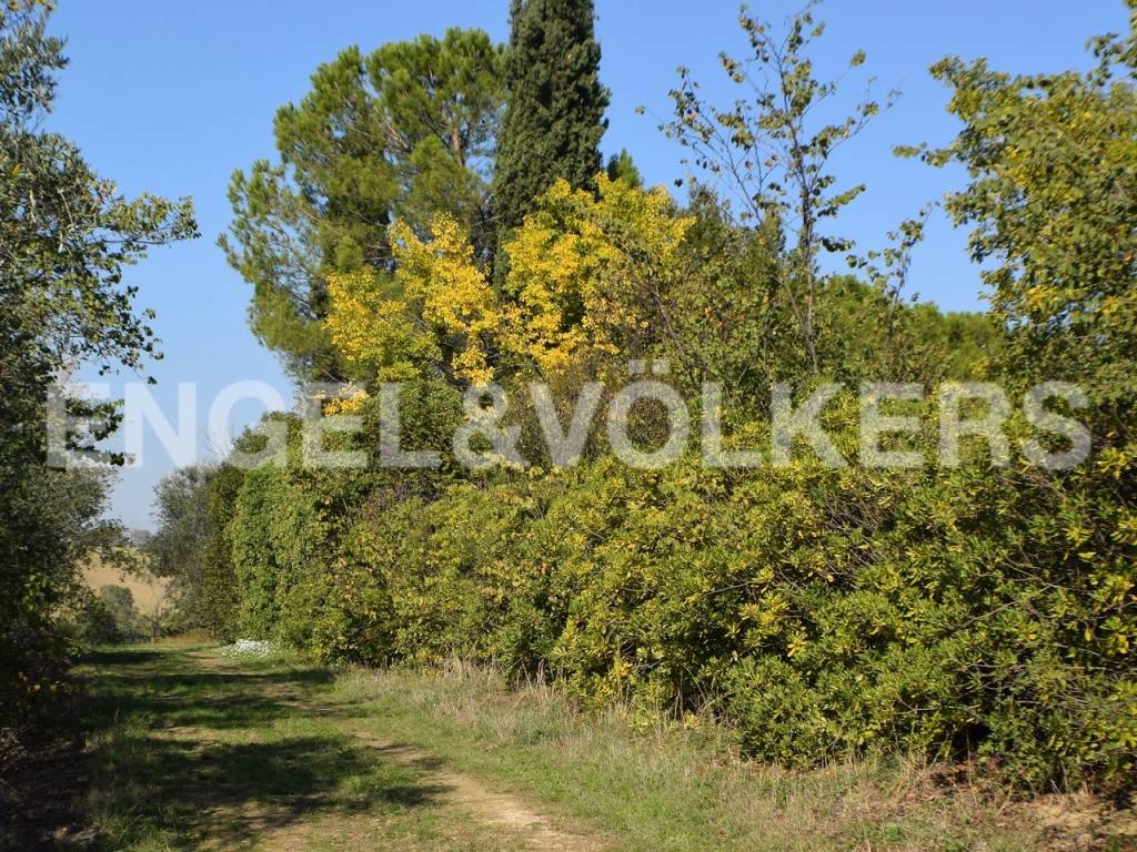 Rustico / casale a Recanati in Contrada Santa Croce - Foto 4