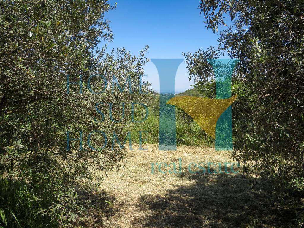 Rustico / casale a Noto in Via Tommaso Fazello, 228 - Foto 3