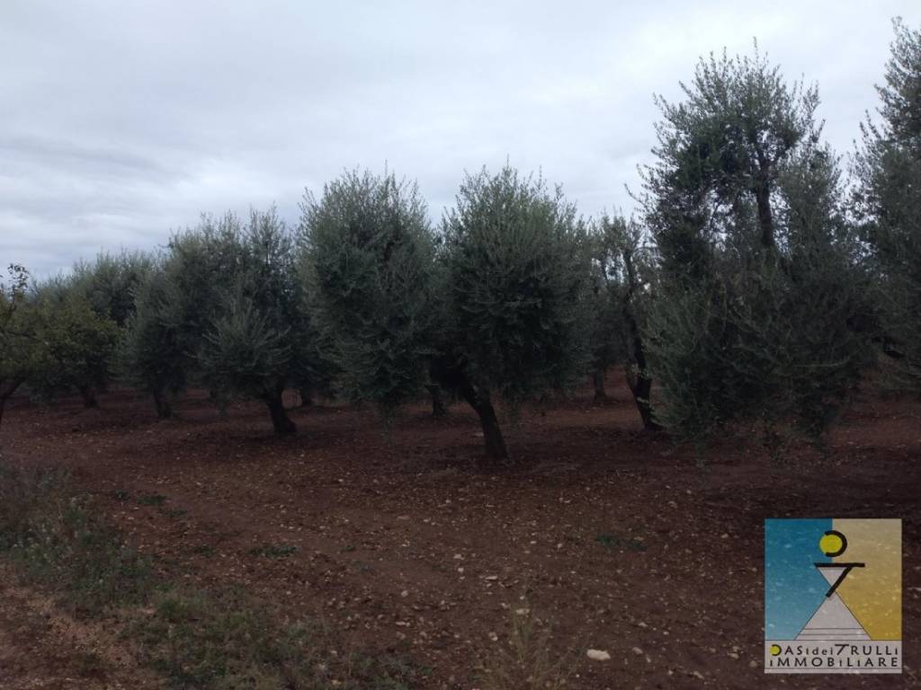 Terreno a Francavilla fontana in Contrada Giovannella - Foto 5