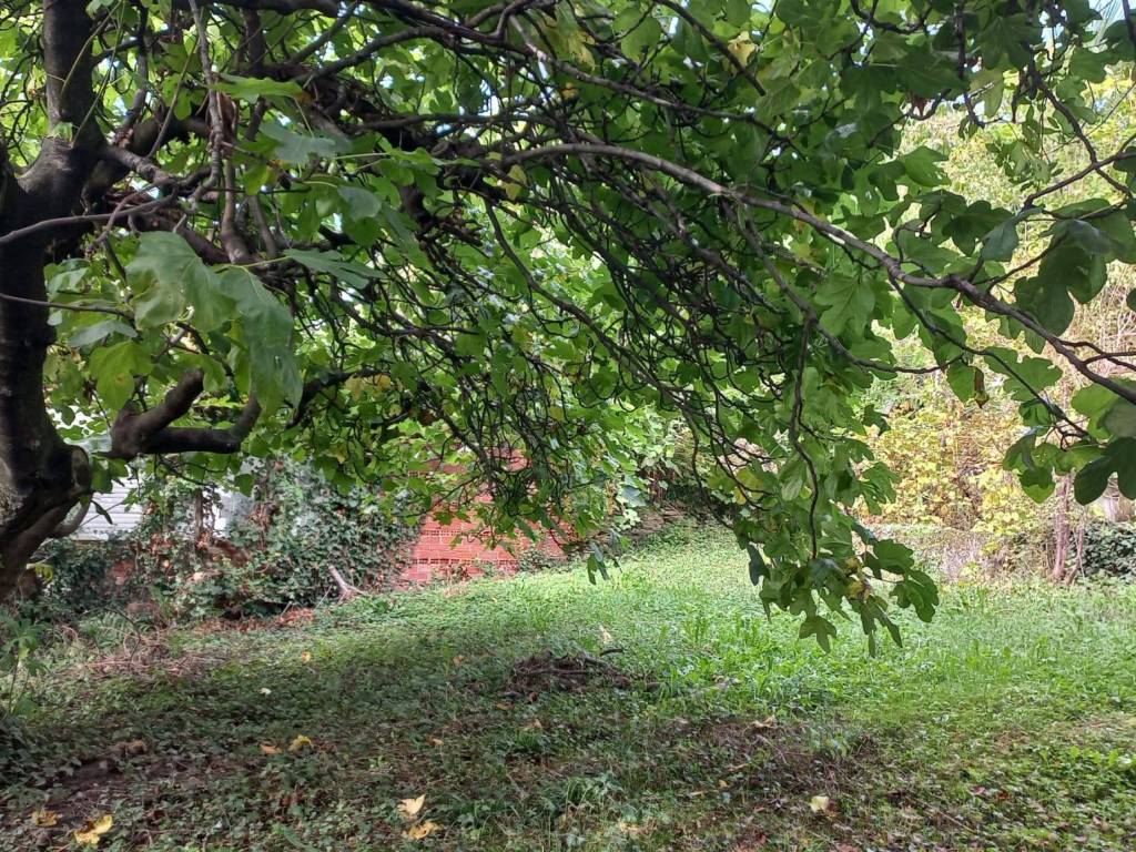 Rustico / casale a Bagnolo piemonte in Via San Defendente, 102 - Foto 3