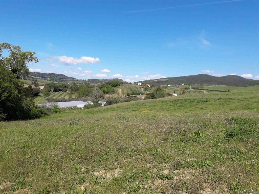 Terreno a Bibbona - Foto 2