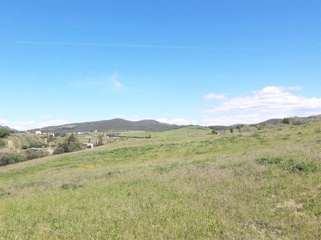 Terreno a Bibbona - Foto 3