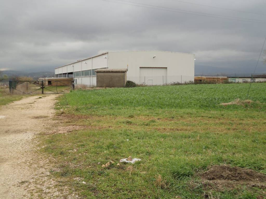 Immobile a Rosciano in Contrada Tratturo, 20 - Foto 4