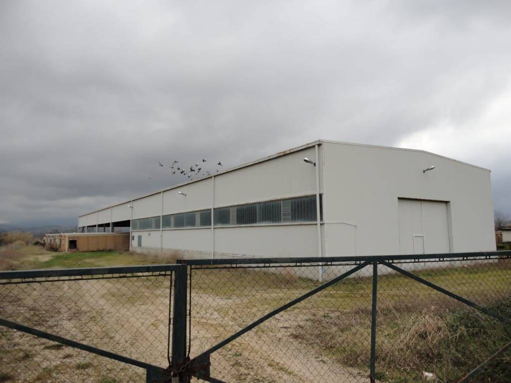 Immobile a Rosciano in Contrada Tratturo, 20 - Foto 5